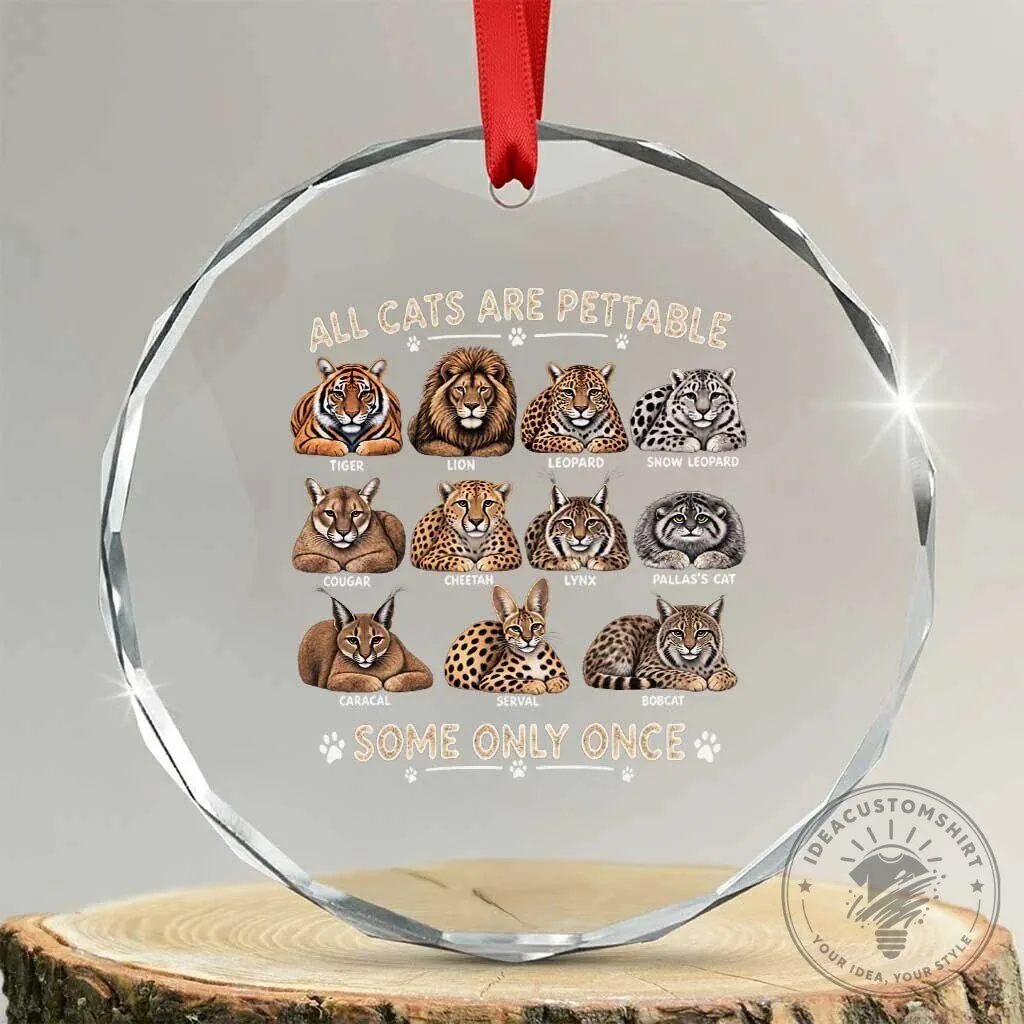 Funny All Cats Are Pettable Some Only Once Big Cats Lover Crystal Ornament