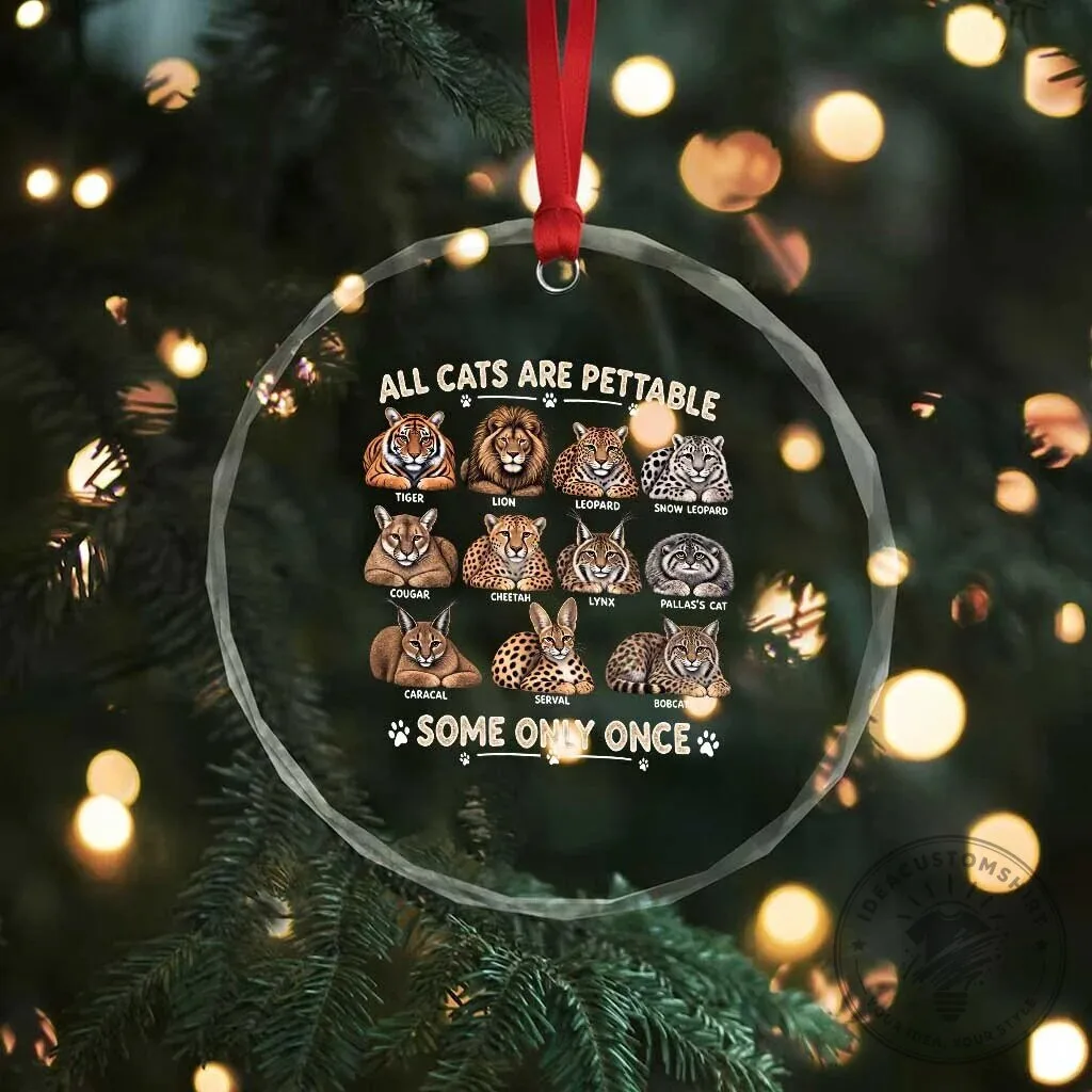 Funny All Cats Are Pettable Some Only Once Big Cats Lover Crystal Ornament 11 Funny All Cats Are Pettable Some Only Once Big Cats Lover Crystal Ornament